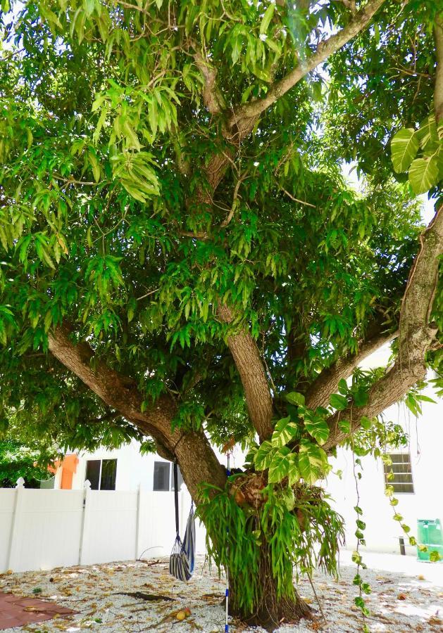 Enchanting Cozy Apartment 10 Min Away From Airport, Calle 8, Brickell, Coral Gables, The Beach And More! Miami Ngoại thất bức ảnh